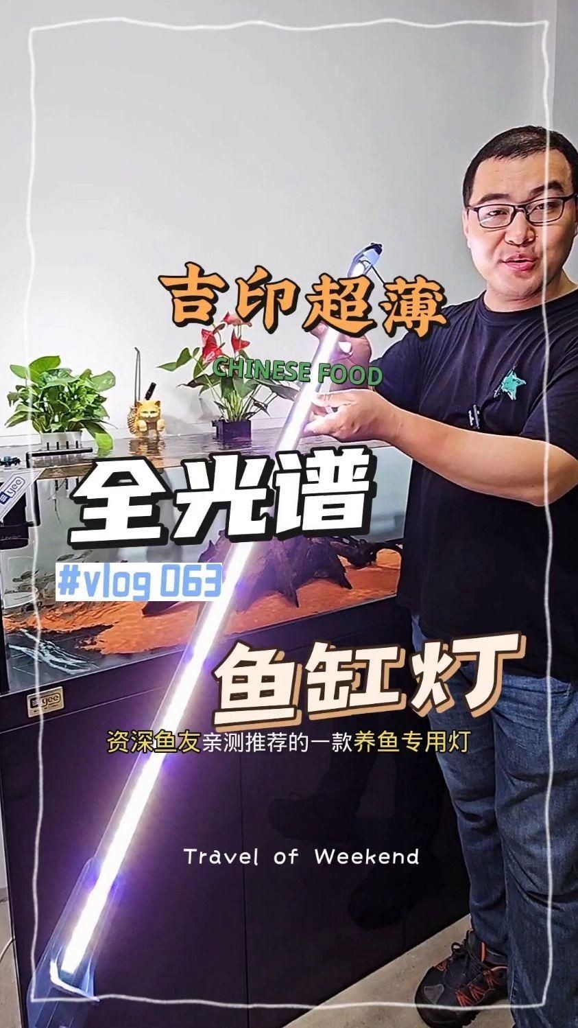 吉印魚缸燈怎么樣，實測揭秘吉印魚缸燈真實表現(xiàn)如何？光照效果/安全性/