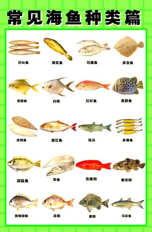 海魚100種圖片，百種驚艷海魚高清圖鑒，探索海洋精靈的