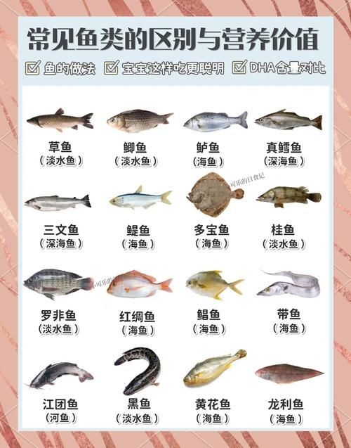 海魚100種圖片，百種驚艷海魚高清圖鑒，探索海洋精靈的