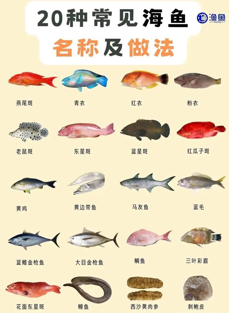 海魚100種圖片，百種驚艷海魚高清圖鑒，探索海洋精靈的