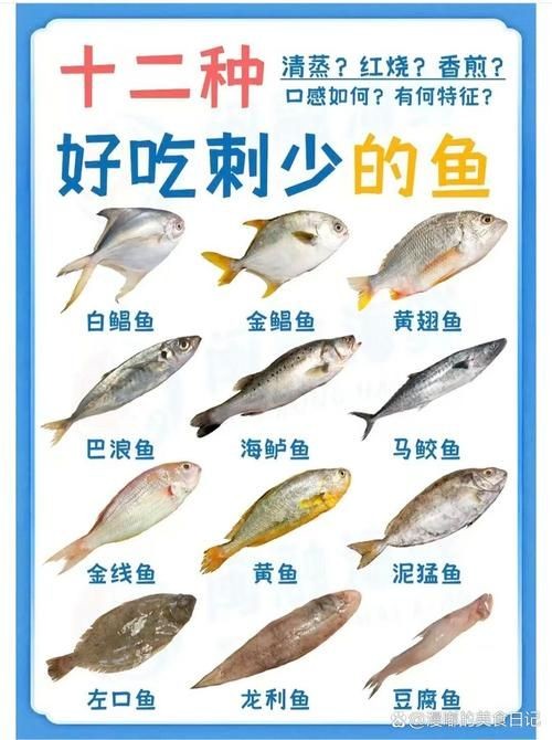 海魚100種圖片，百種驚艷海魚高清圖鑒，探索海洋精靈的