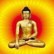 合珍品紅龍酒屬于什么檔次，深度解析，合珍品紅龍酒的品牌定位與市場檔次歸屬