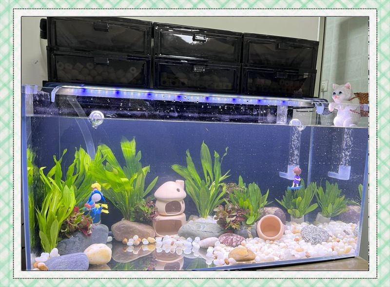 吉印魚缸水族箱使用步驟詳解,吉印魚缸/水族箱新手必看,超全 龍魚論壇 第6張 吉印魚缸水族箱使用步驟詳解,吉印魚缸/水族箱新手必看,超全 吉印魚缸水族箱使用步驟詳解,吉印魚缸/水族箱新手必看,超全 龍魚論壇 第6張