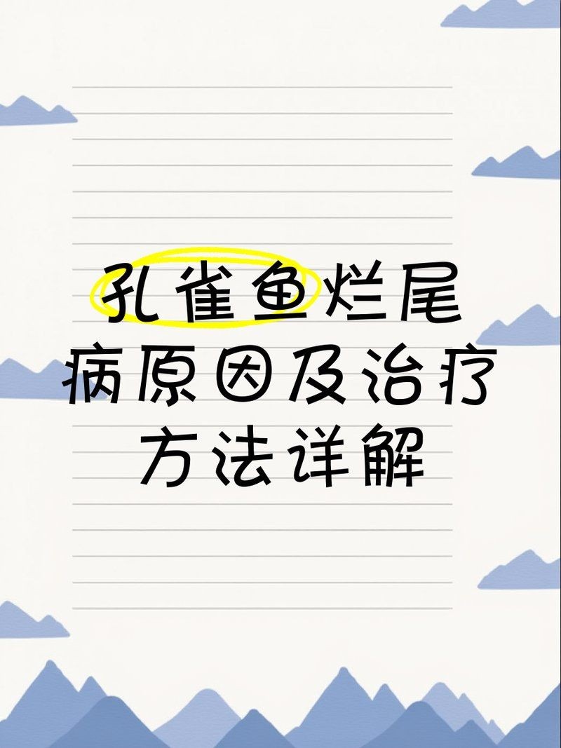 孔雀魚爛尾病最簡單治療，一招搞定！孔雀魚爛尾病超
