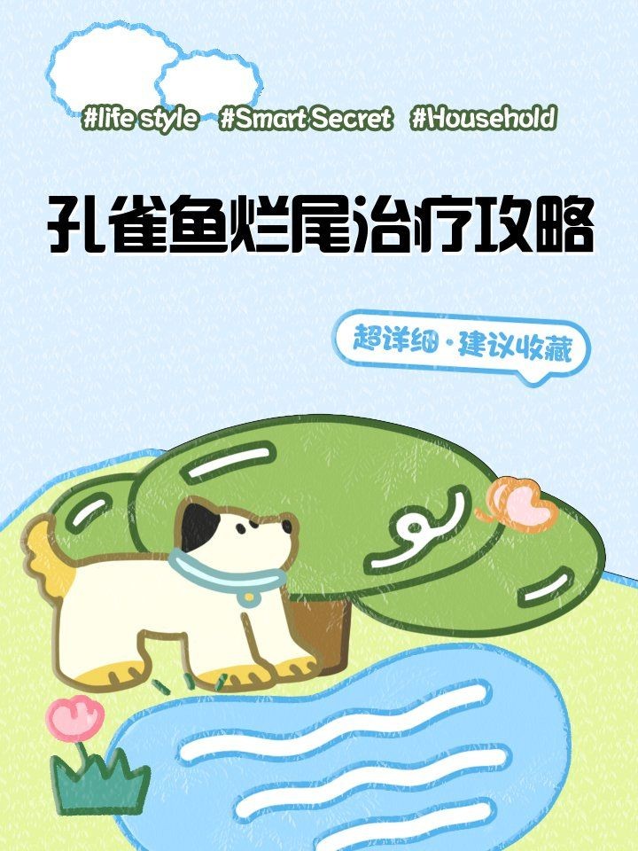 孔雀魚爛尾病最簡單治療，一招搞定！孔雀魚爛尾病超