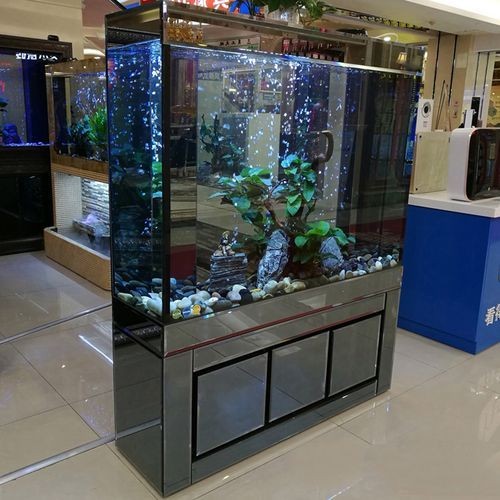 家庭魚缸圖片大全，家庭魚缸實景高清精選圖片