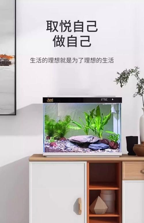 家庭魚缸圖片大全，家庭魚缸實景高清精選圖片