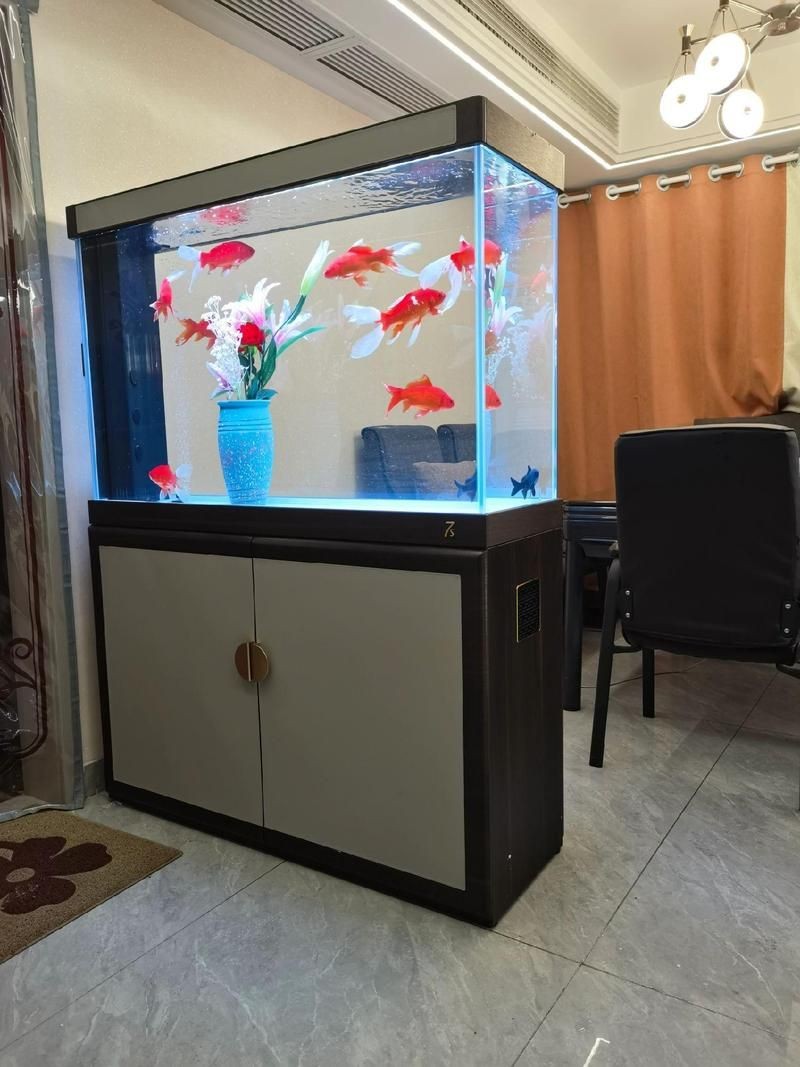 家庭魚缸圖片大全，家庭魚缸實景高清精選圖片