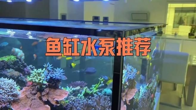 家庭魚缸水泵大全，家庭魚缸水泵精選，高效