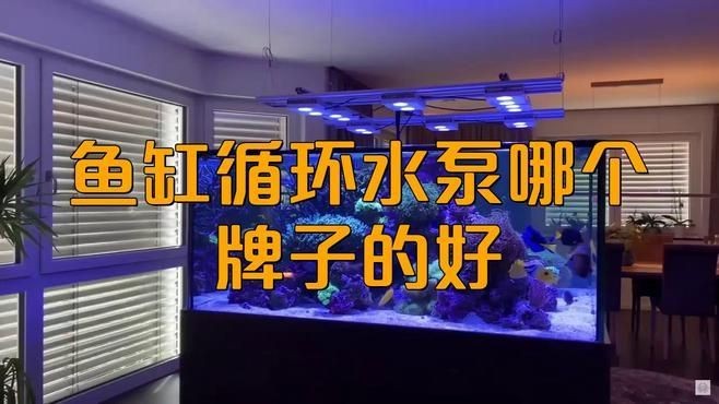 家庭魚缸水泵大全，家庭魚缸水泵精選，高效