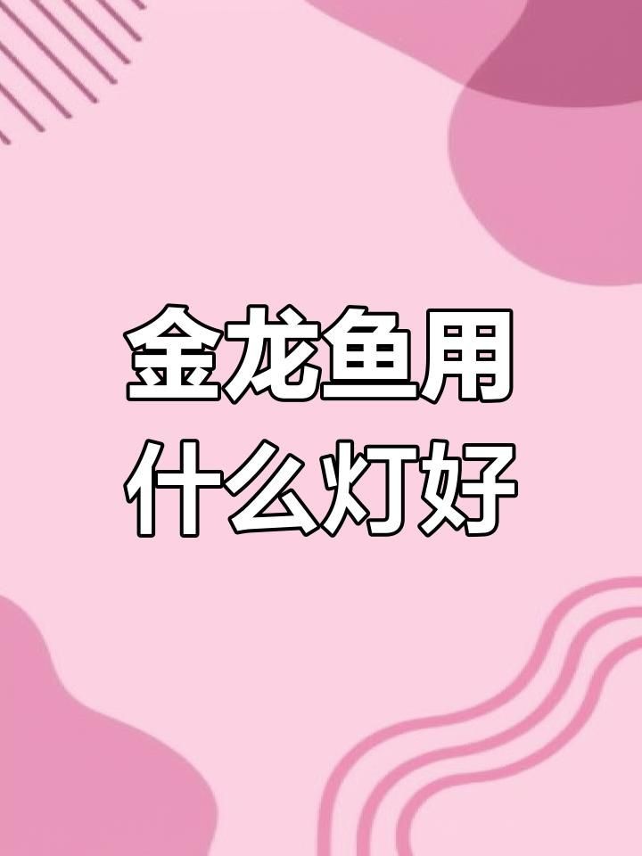 過背金龍魚24厘米的用什么燈最好，24厘米過背金龍