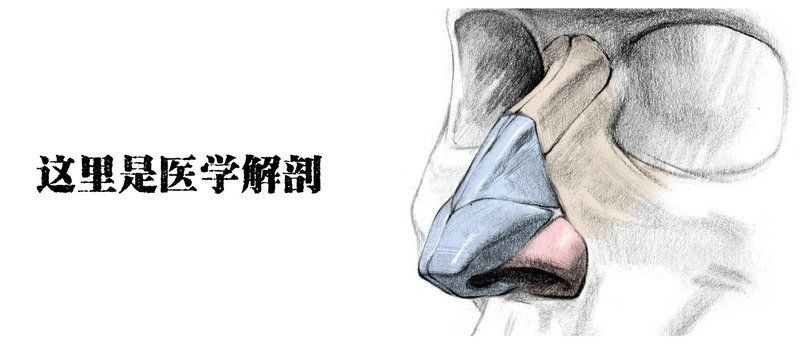 真菌細(xì)菌區(qū)分口訣，真菌細(xì)菌巧分辨，超實(shí)用區(qū)分口訣一鍵掌握！ 真菌細(xì)菌區(qū)分口訣，真菌細(xì)菌巧分辨，超實(shí)用區(qū)分口訣一鍵掌握！ 龍魚(yú)百科 第3張