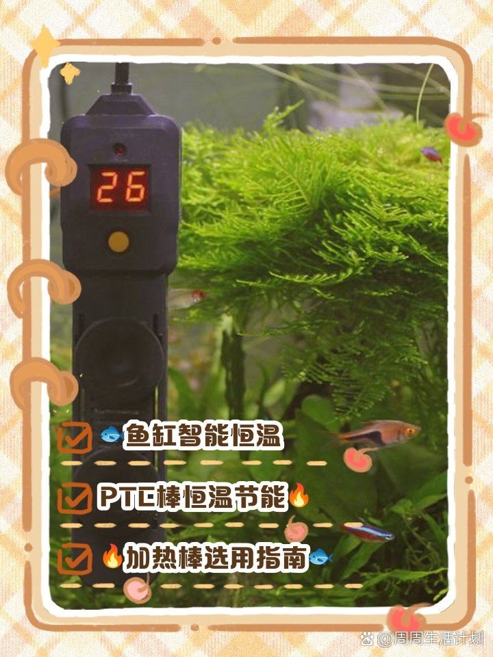 光特億智能遠程調控加熱棒，光特億智能遠程調控加熱棒，智控恒溫 光特億智能遠程調控加熱棒，光特億智能遠程調控加熱棒，智控恒溫 龍魚論壇 第4張