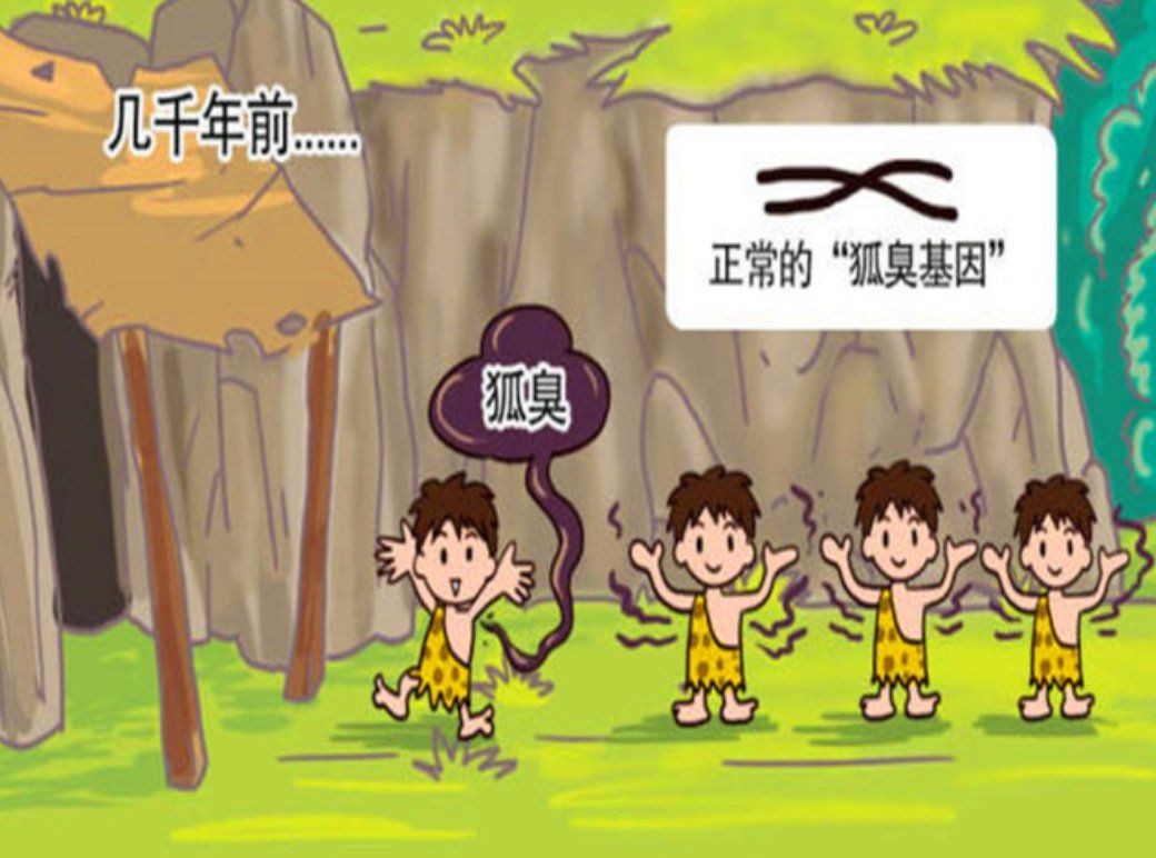 漢族人的狐臭來源于哪個(gè)民族，揭秘漢族狐