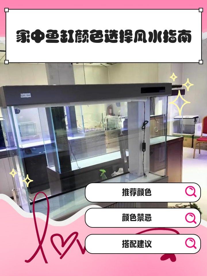 九鼎魚缸最建議買的三個顏色，九鼎魚缸TOP3必入配色！這三款高顏值顏色千萬別錯過～