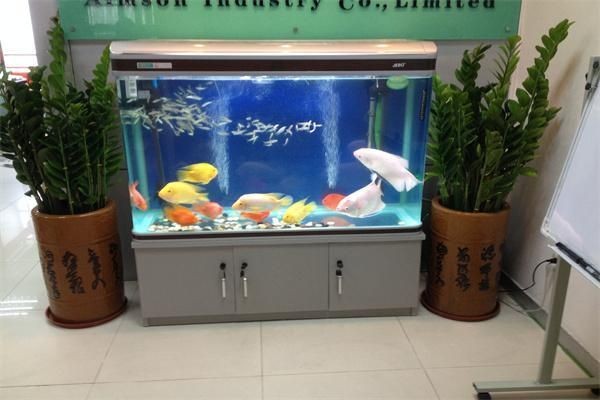 久鼎魚缸官網電話24小時，久鼎魚缸官方熱線｜24 久鼎魚缸官網電話24小時，久鼎魚缸官方熱線｜24 龍魚百科 第1張