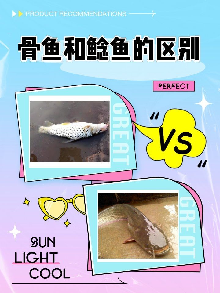 廣西骨魚，廣西特色美食探秘，鮮香滋補