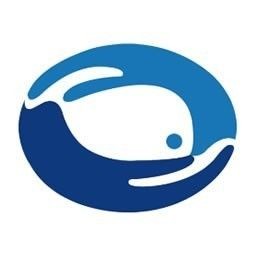 海水魚放在淡水里能活嗎，海水魚突入淡水環(huán)境，生存挑戰(zhàn)與科學(xué)解析