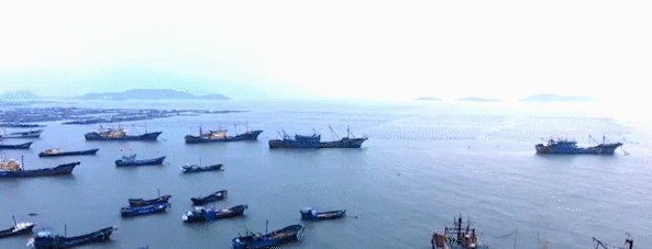 海水魚放在淡水里能活嗎，海水魚突入淡水環(huán)境，生存挑戰(zhàn)與科學(xué)解析