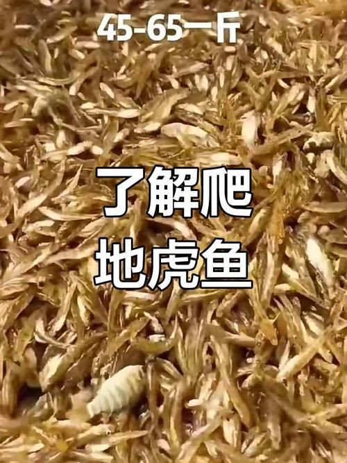 國產水泵品牌十大排名，202X年國產水泵品牌十大排名最新權威盤點
