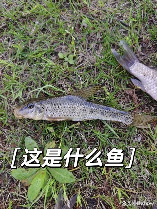 國產水泵品牌十大排名，202X年國產水泵品牌十大排名最新權威盤點