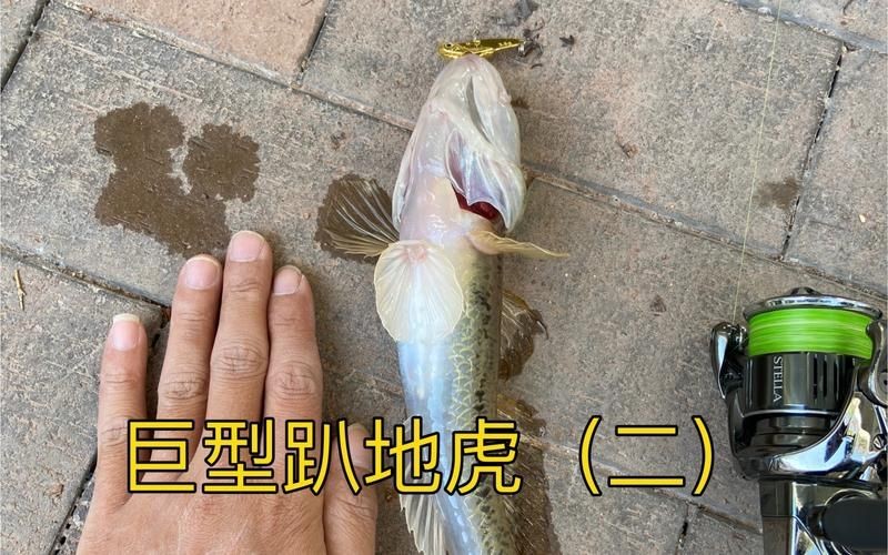 國產水泵品牌十大排名，202X年國產水泵品牌十大排名最新權威盤點