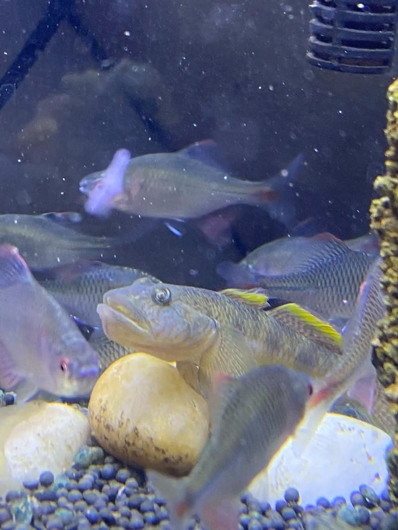 國產水泵品牌十大排名，202X年國產水泵品牌十大排名最新權威盤點