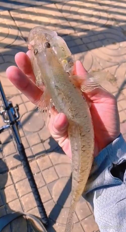 國產水泵品牌十大排名，202X年國產水泵品牌十大排名最新權威盤點