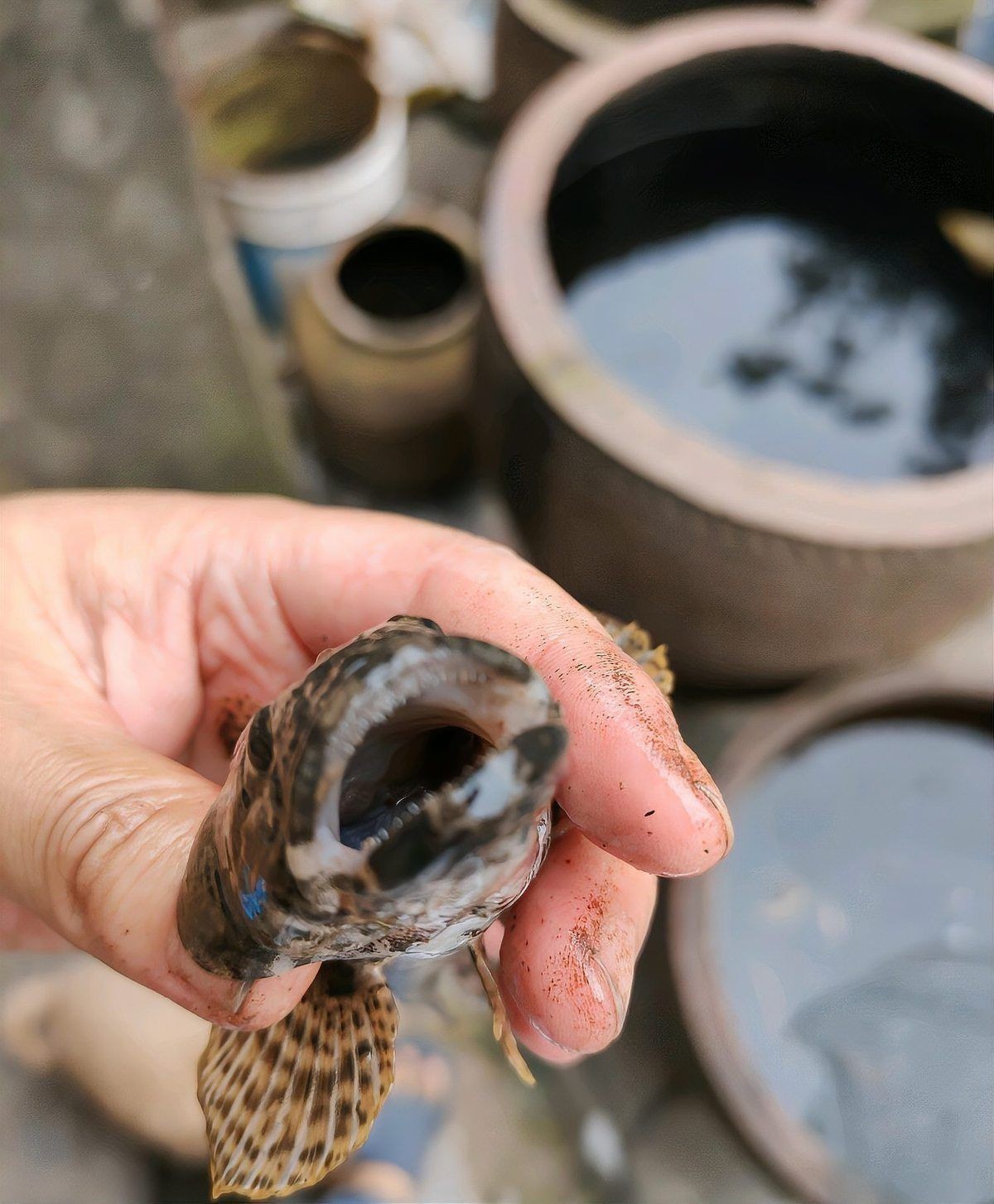 國產水泵品牌十大排名，202X年國產水泵品牌十大排名最新權威盤點