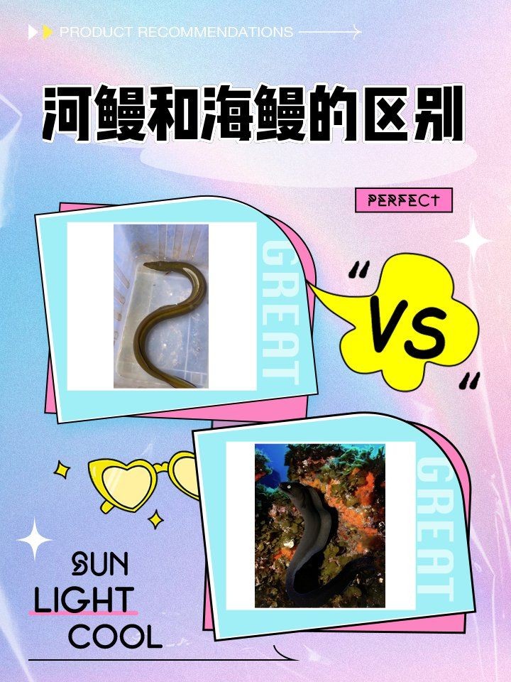 古龍過背金龍魚多久喂一次,古龍過背金龍魚多久換一次水,如何判斷古龍過背金龍魚是否健康 龍魚百科 第2張 古龍過背金龍魚多久喂一次,古龍過背金龍魚多久換一次水,如何判斷古龍過背金龍魚是否健康 古龍過背金龍魚多久喂一次,古龍過背金龍魚多久換一次水,如何判斷古龍過背金龍魚是否健康 龍魚百科 第2張