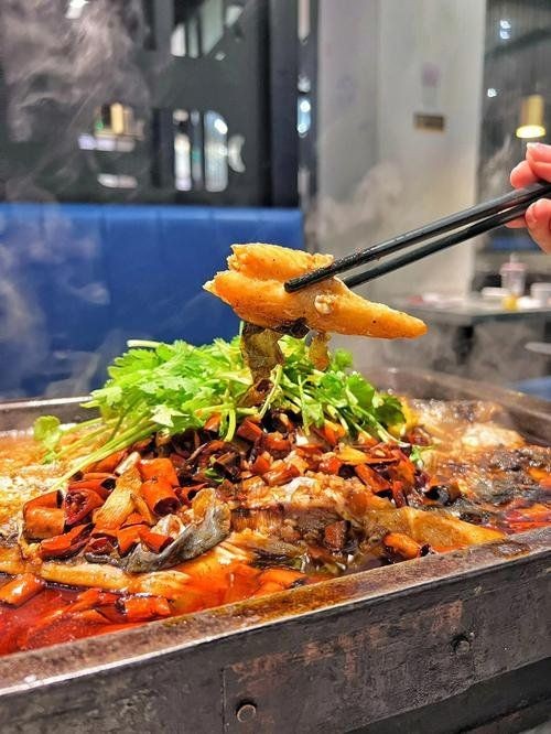 云浮龍魚店，云浮龍魚店｜專業水族館·