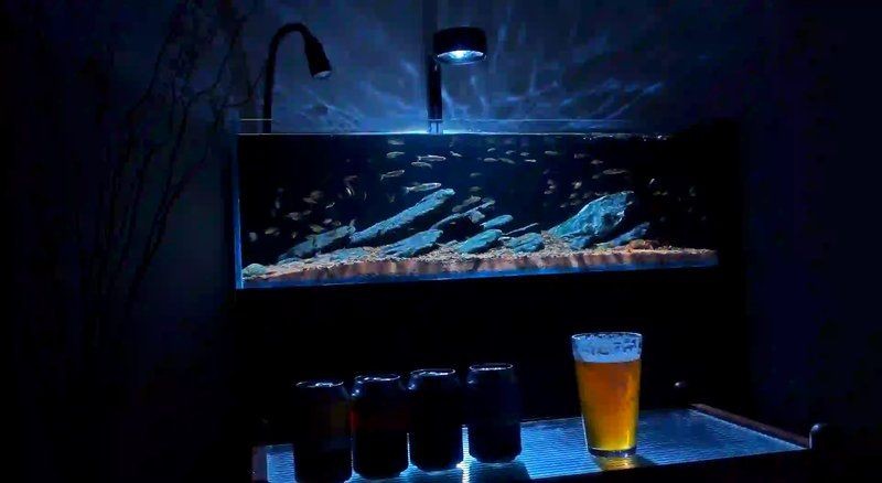 保定魚缸定做，保定專業魚缸定制——私人訂制高品質水