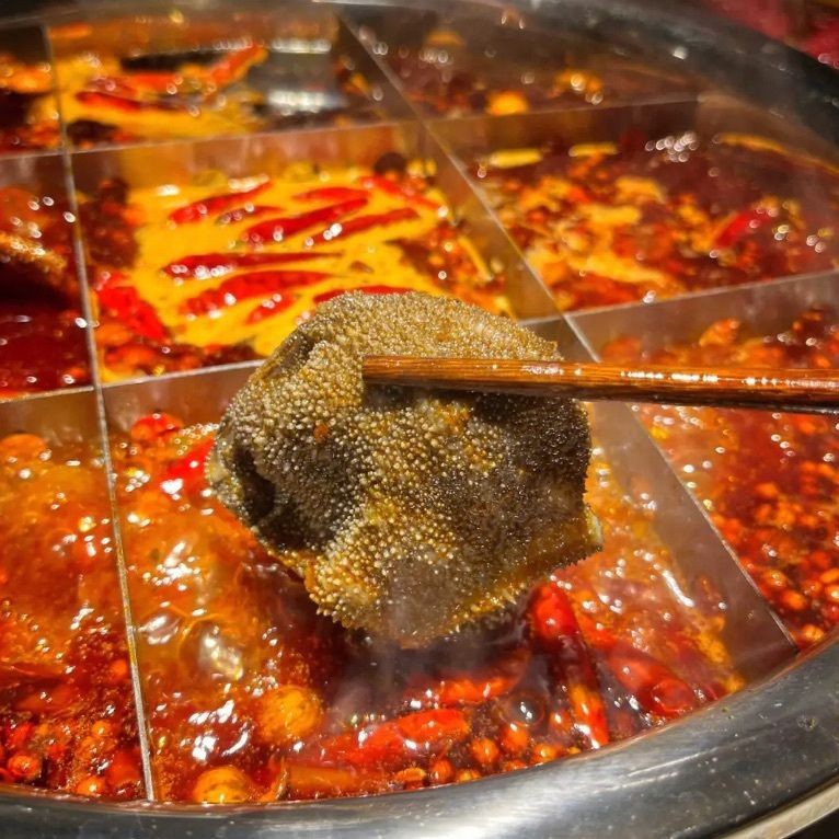興安盟龍魚店，興安盟專業(yè)龍魚店——精品龍魚繁育與銷售一站式服務(wù)
