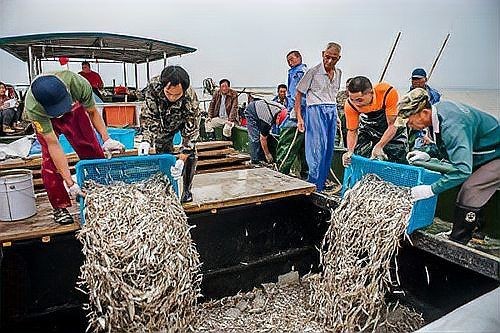 湖里的小魚一般都是什么魚，探秘湖泊生態，盤點水域中最常見的
