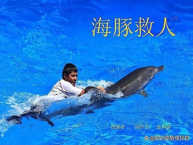 海豚為什么會救人,揭秘海豚救人,海洋精靈的善意 龍魚論壇 第13張 海豚為什么會救人,揭秘海豚救人,海洋精靈的善意 海豚為什么會救人,揭秘海豚救人,海洋精靈的善意 龍魚論壇 第13張