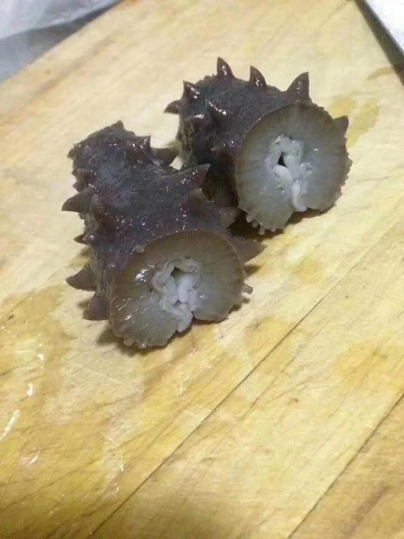 海老虎長什么樣子，揭秘，海老虎的真實(shí)樣貌與外形特征全