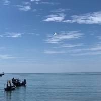 廣東常見(jiàn)魚(yú)一覽表，廣東常見(jiàn)淡水