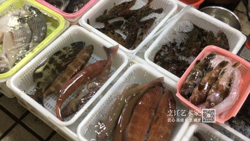 廣東常見(jiàn)魚(yú)一覽表，廣東常見(jiàn)淡水