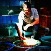 海鯰魚毒性多強，揭秘海鯰魚致命毒性，其毒理威力究竟有多 海鯰魚毒性多強，揭秘海鯰魚致命毒性，其毒理威力究竟有多 龍魚論壇 第3張
