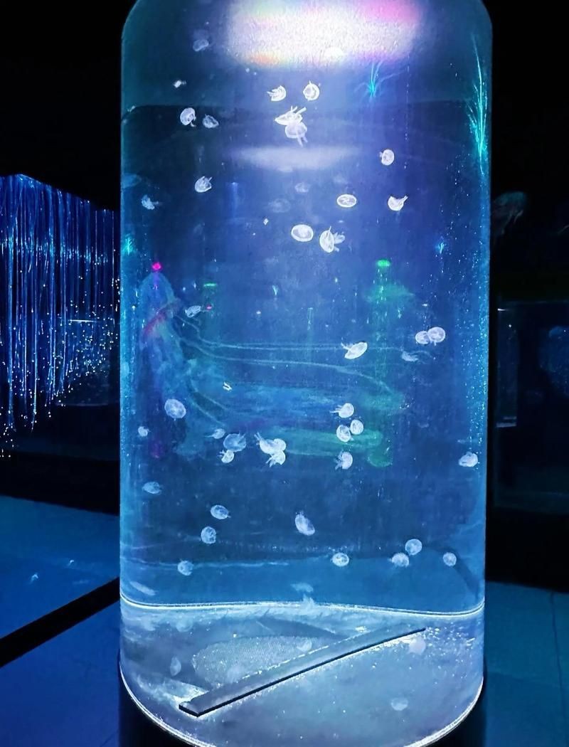呼和浩特水族館，探秘青城之韻·呼和浩特水族館奇幻