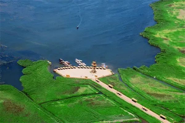 巴音郭楞蒙古自治州水族批發(fā)市場，聚焦西域水產(chǎn)樞紐——巴音郭楞蒙古自治州專業(yè)水族批發(fā)市場