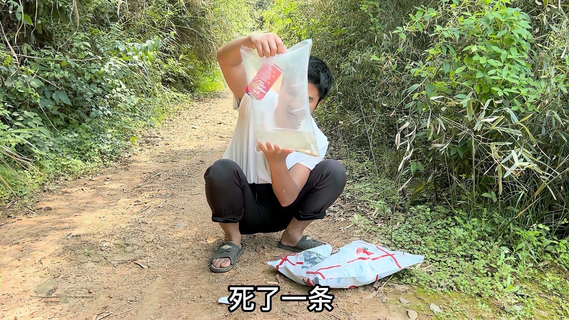 網(wǎng)上買的魚苗能養(yǎng)活嗎，網(wǎng)購魚苗能否成功養(yǎng)活？關(guān)鍵養(yǎng)護(hù)技巧