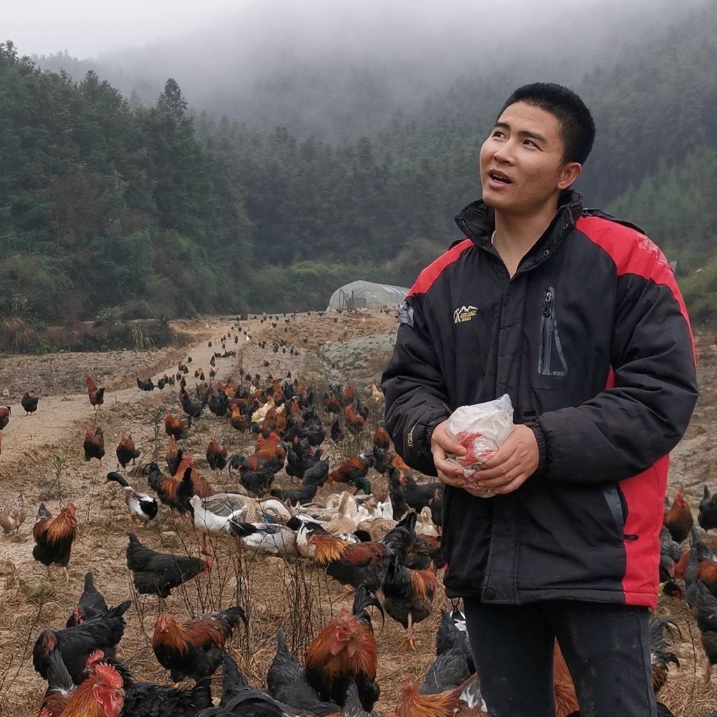 網(wǎng)上買的魚苗能養(yǎng)活嗎，網(wǎng)購魚苗能否成功養(yǎng)活？關(guān)鍵養(yǎng)護(hù)技巧