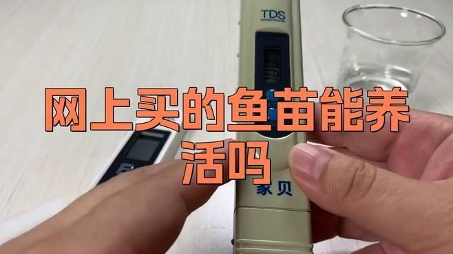 網(wǎng)上買的魚苗能養(yǎng)活嗎，網(wǎng)購魚苗能否成功養(yǎng)活？關(guān)鍵養(yǎng)護(hù)技巧