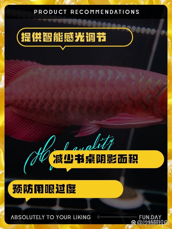光特億和馬印殺菌燈那個(gè)好？光特億與馬印殺菌燈全方位對(duì)比評(píng)測(cè)，誰
