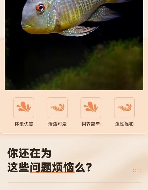 和尚關刀魚圖片大全，高清和尚關刀魚美圖
