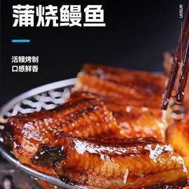 海鰻多少錢一斤，海鰻價格行情，一斤多少錢