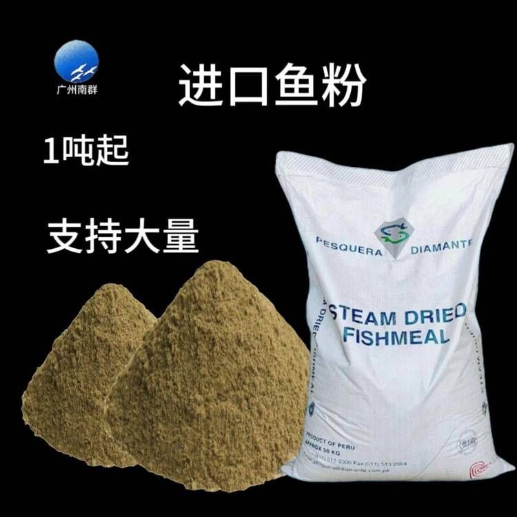 海鰻多少錢一斤，海鰻價格行情，一斤多少錢