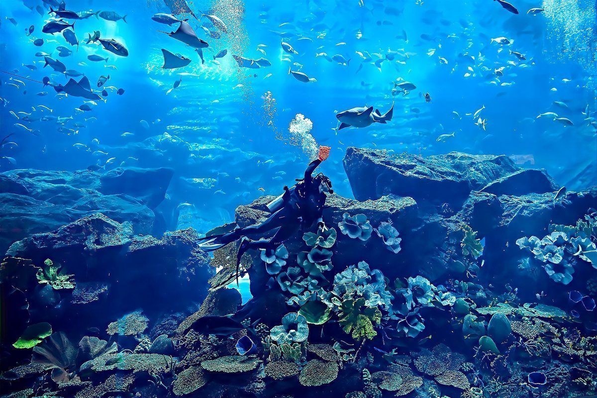 海底世界排名中國