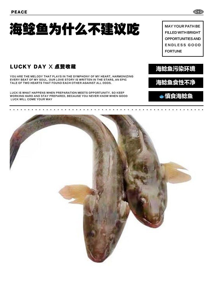 海鯰魚為什么不建議吃